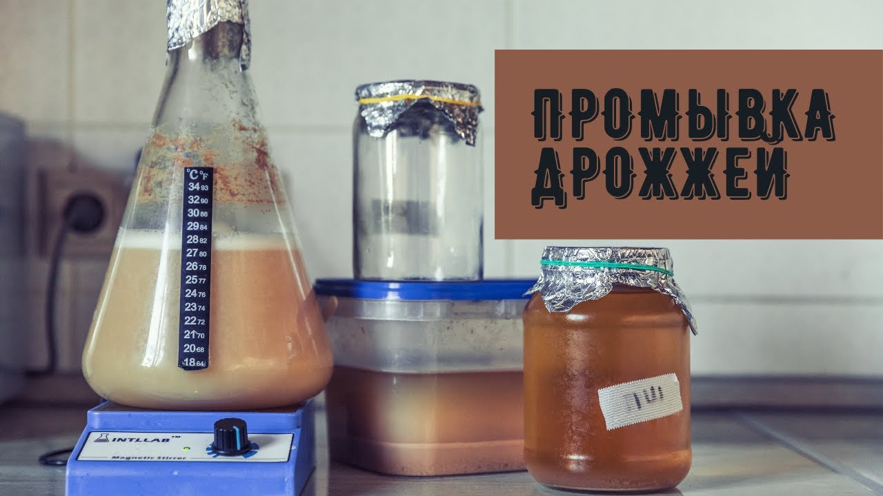 Промывка дрожжей | Повторное использование дрожжей