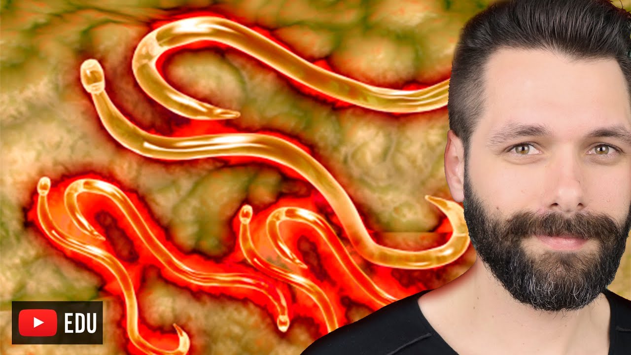 PARASITA MONOXENO E HETEROXENO - Ciclo de vida | BIOLOGIA COM SAMUEL CUNHA