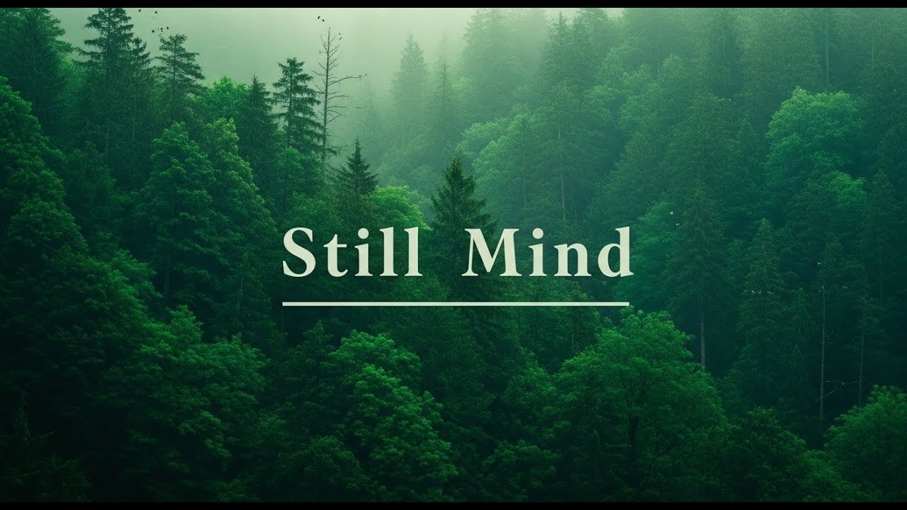 1 Hour Forest Dawn Music for Deep Meditation, Positive Energy & Mental Clarity
