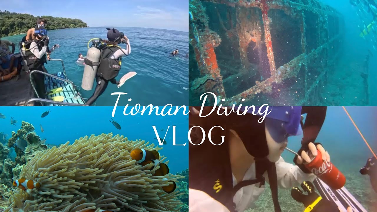 【EN SUB】3D2N  Amazing Scuba Diving Trip in Tioman Island | Wreck dive | Drink coke underwater|马来西亚