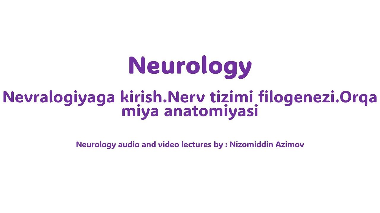 Nerv tizimi filogenezi
