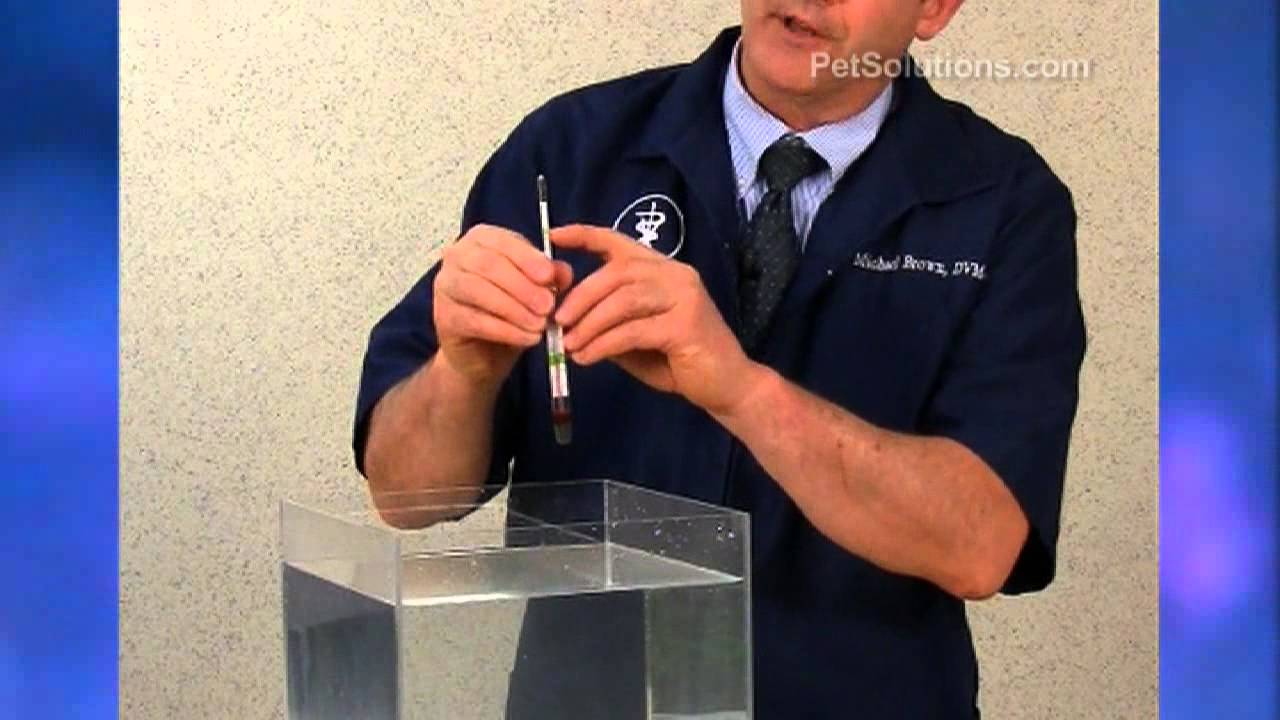 PetSolutions: Living Sea Glass Hydrometer Plus