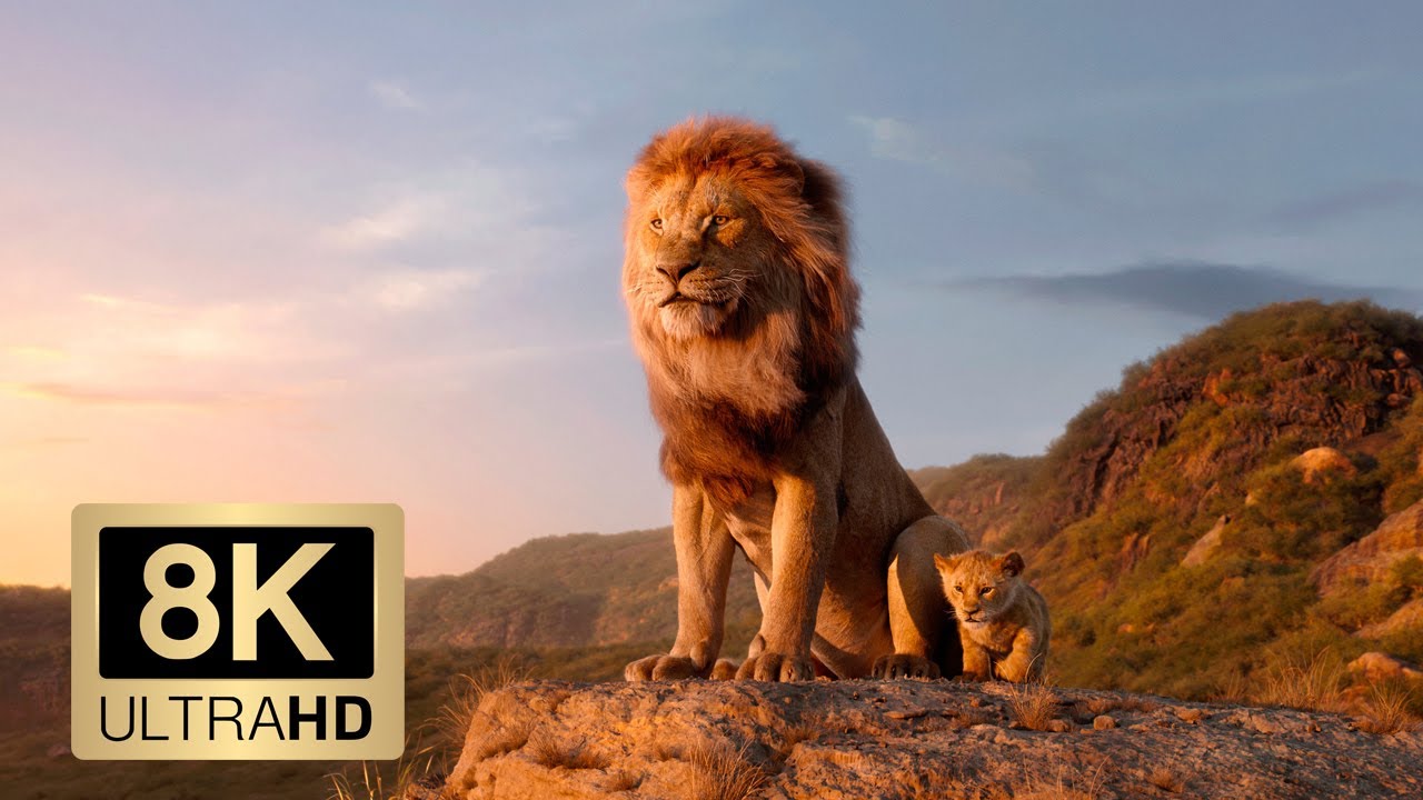 THE LION KING 8K Trailer (8K ULTRA HD 4320p)