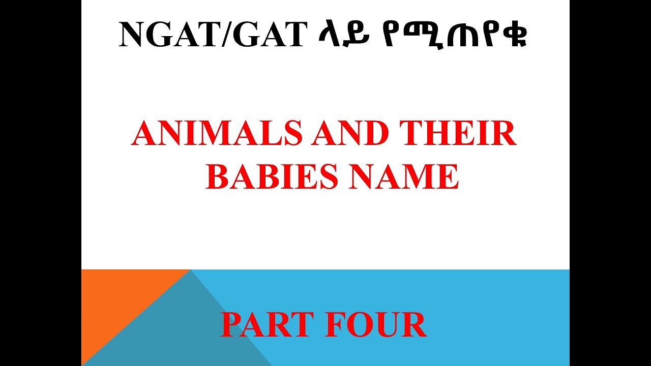 GAT Exam Questions About Animal Babies  Name part 4