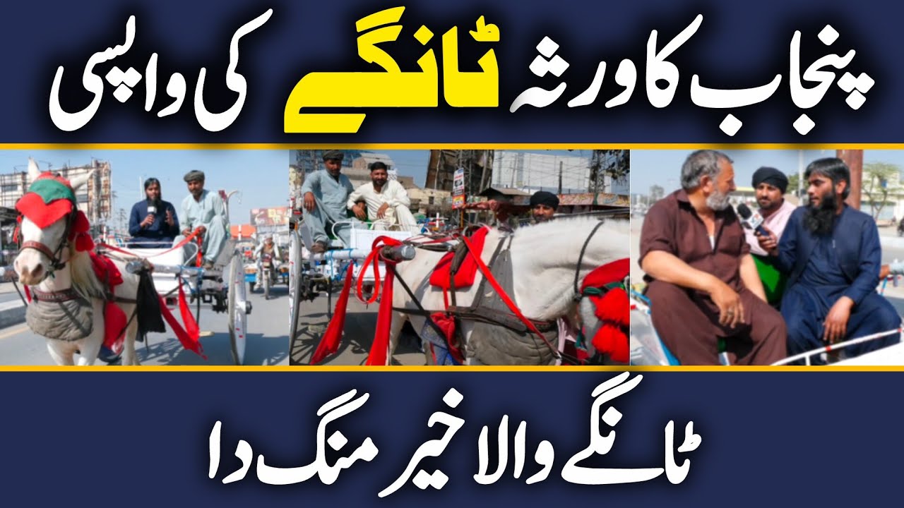 Punjabi versa Program Arifwala | پنجاب میں ٹانگے گھوڑے کی سواری اب نایاب کیوں ؟
