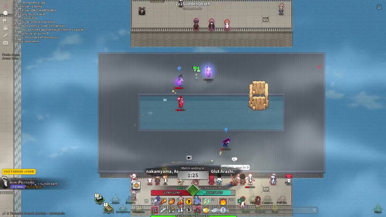 2v2SuddenDeath Hawk server Nin Online