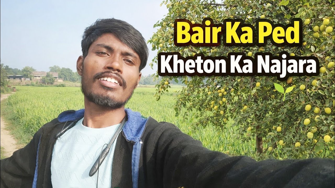 Gaon Ka Sukoon | Bair Ka Ped Aur Hari-Bhari Kheti 🌳🌾 | Village Vlog । Karanblogs 