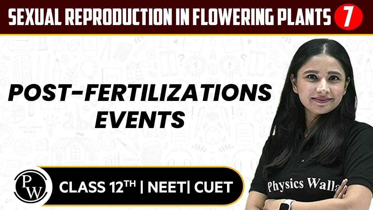 Sexual Reproduction in Flowering Plants 07 | Post-Fertilizations Events | 12th / NEET/CUET