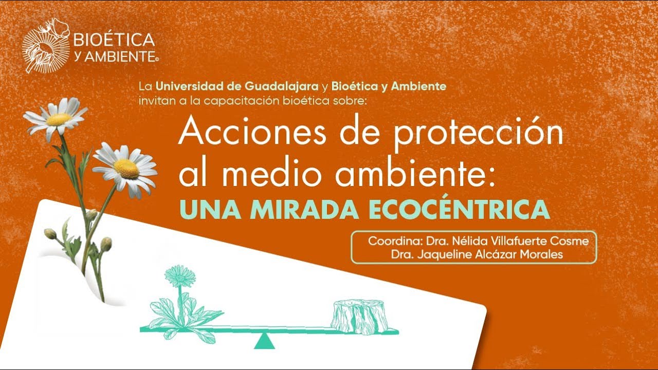 Acciones de protecci&oacute;n al medio ambiente: Una Mirada Ecoc&eacute;ntrica 5