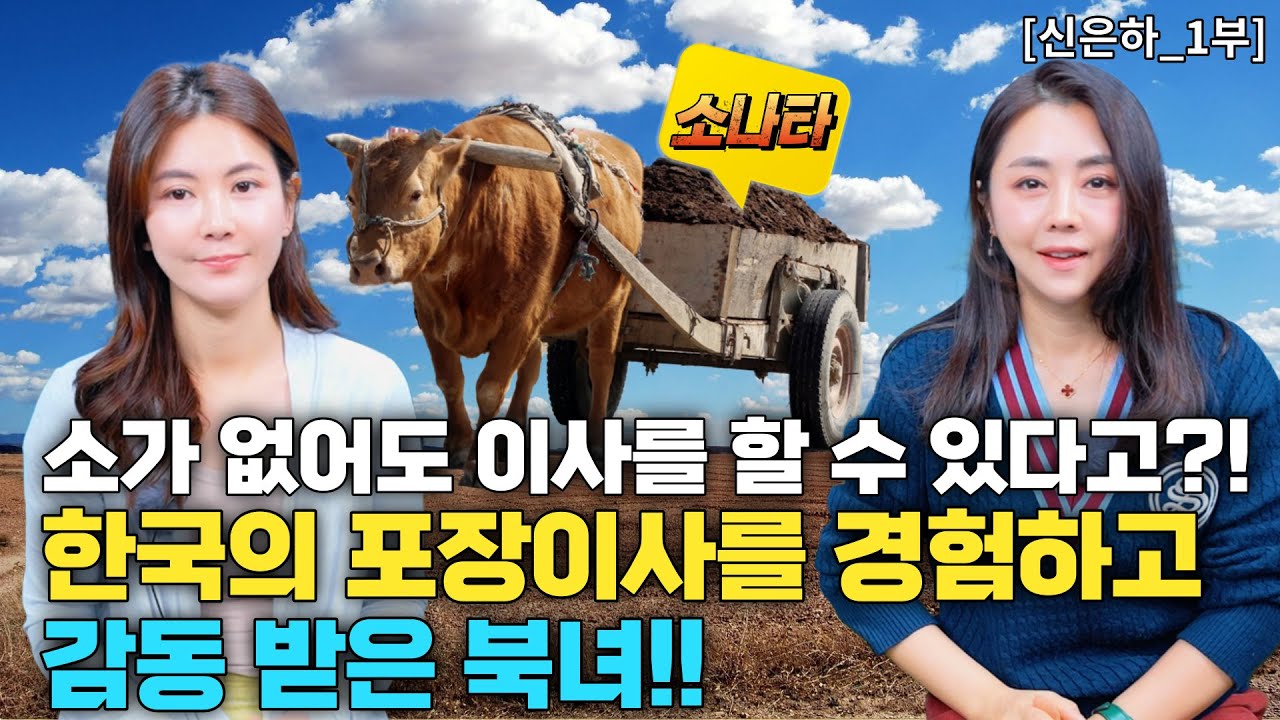 🌺신은하_1부🌺 소가 없어도 이사가 가능하다고?! 대한민국의 포장이사/입주청소를 경험하고 감탄한 북녀들!