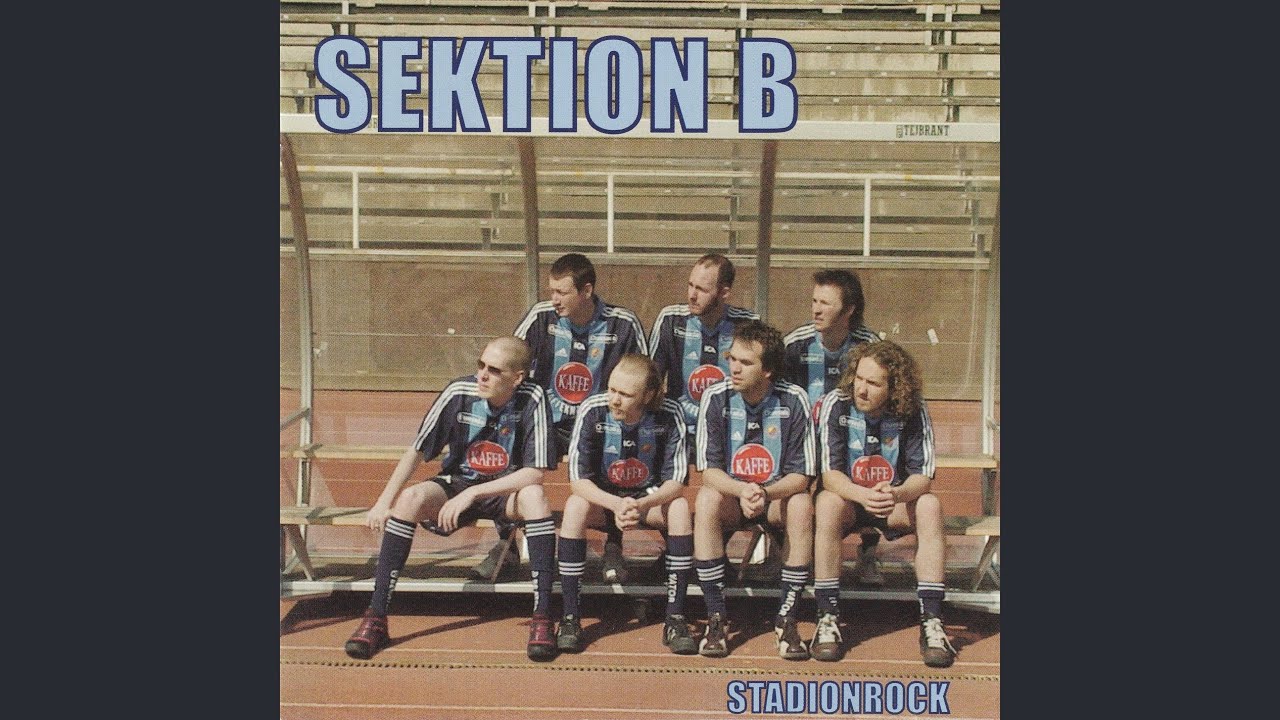Vi snodde samban