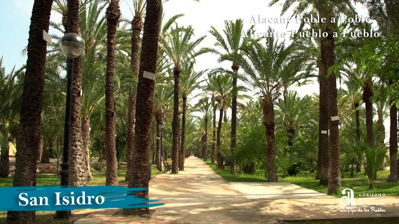 SAN ISIDRO. Alicante pueblo a pueblo