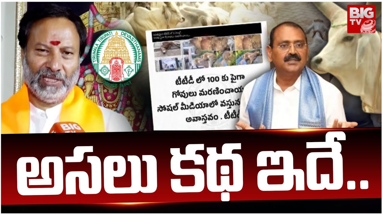 TTD Goshala Issue Detailed Explanation | అసలు కథ ఇదే | Bhanu Prakash | Bhumana Karunakar Reddy