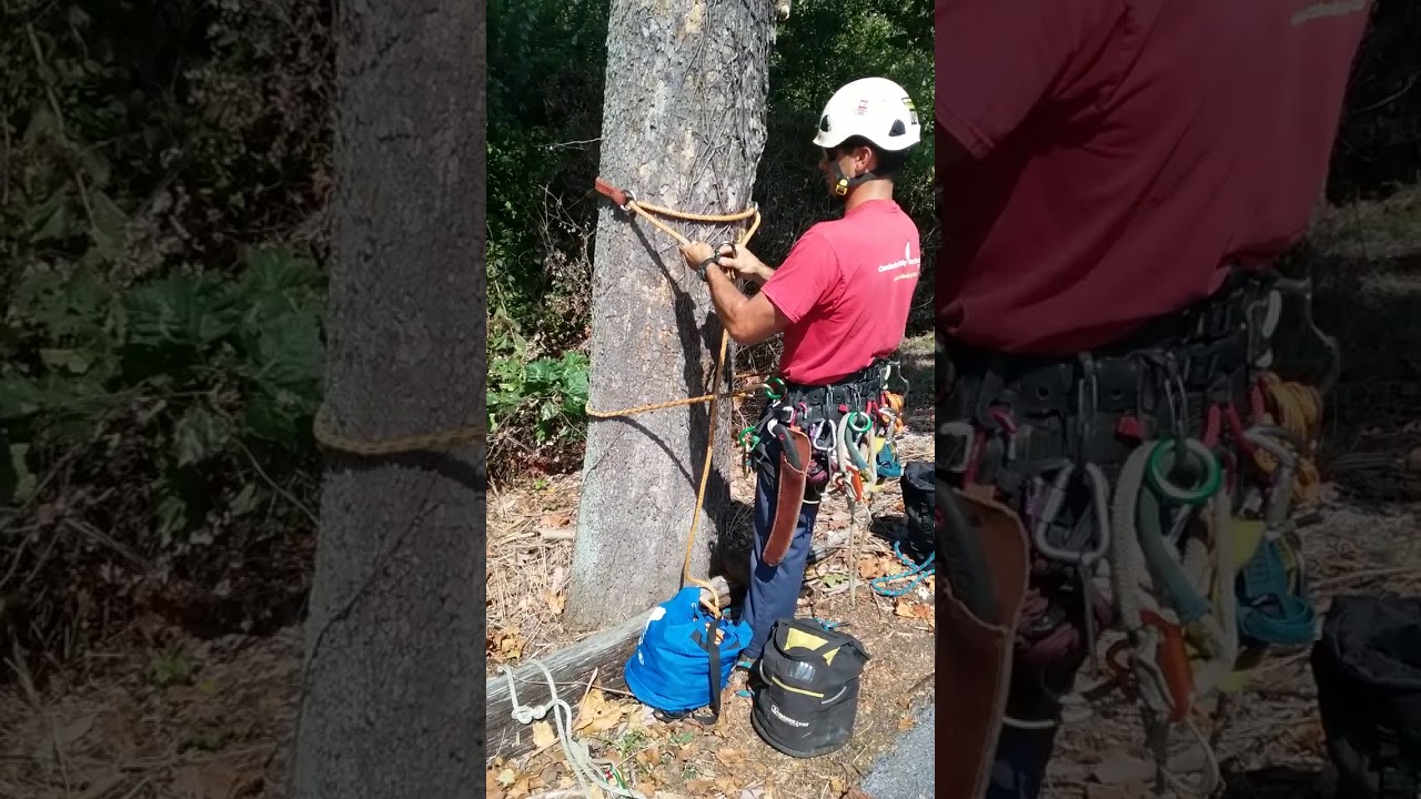 single stem anchors