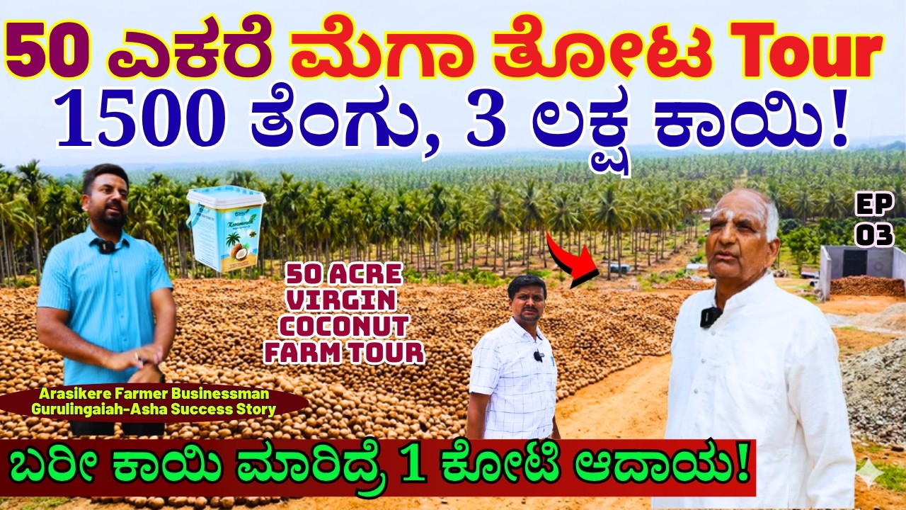 50 Acre Mega Farm-ಶ್ರೀಮಂತ ಯುವ ರೈತನ 50 ಎಕರೆ ತೋಟ, 1500 ತೆಂಗು, 3 ಲಕ್ಷ ಕಾಯಿ!-Gurulingaiah-Swadeshi Disha