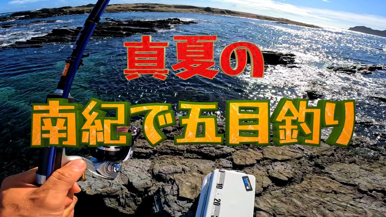 真夏の南紀で夜まで五目釣りしたら面白過ぎた