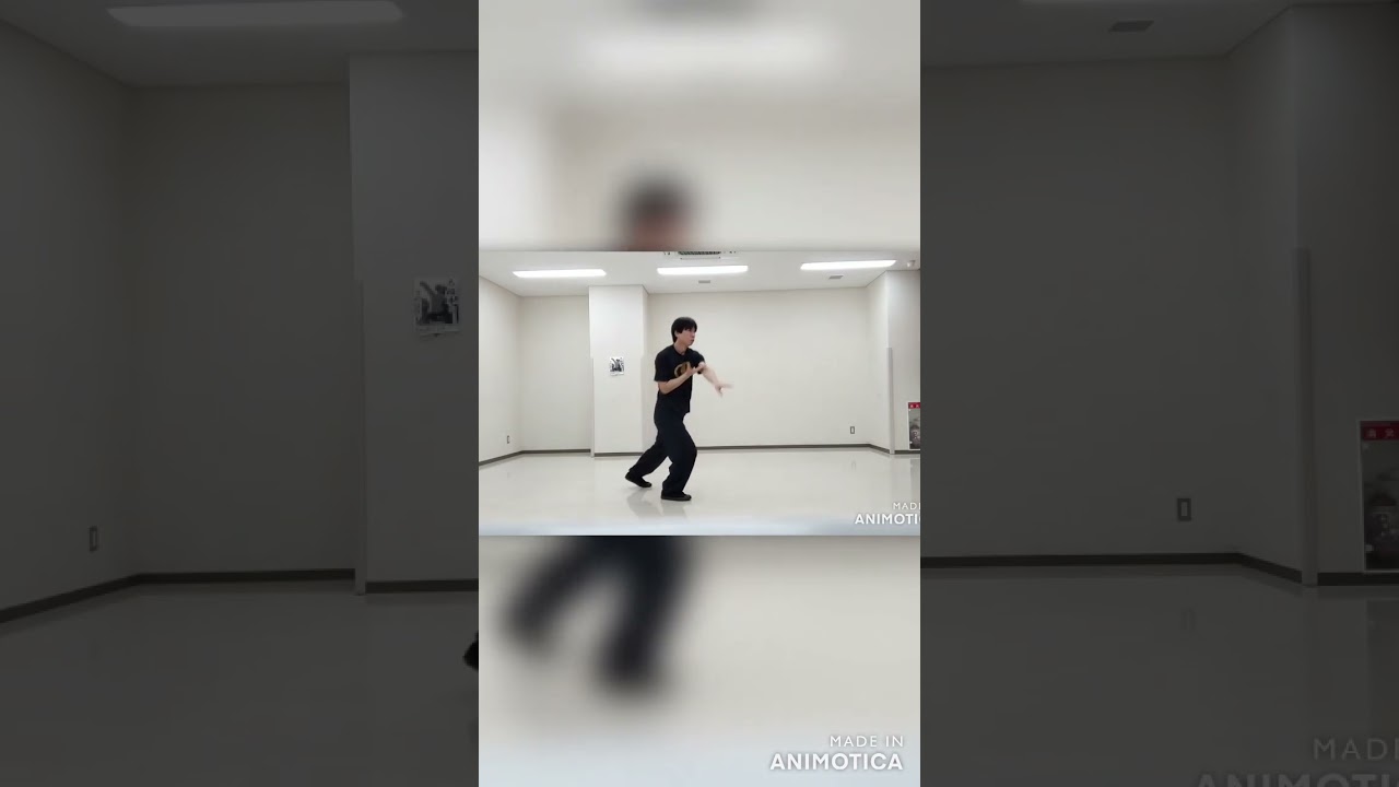 八極拳の金剛八式（磋歩托天掌）#shorts