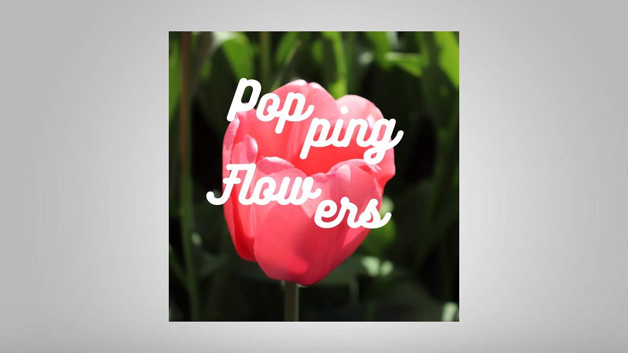 Forever Bound - Popping Flowers