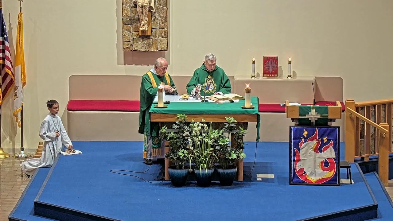 11 AM Sunday Mass