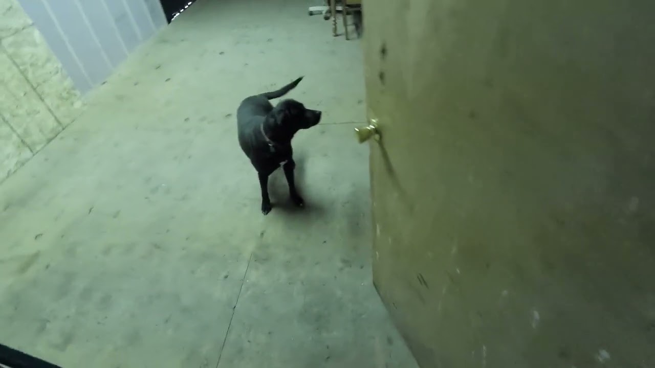 still working on the project getting closer