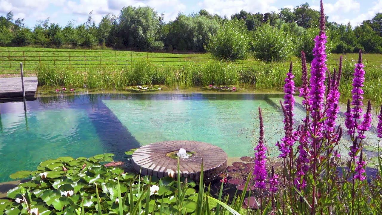 Natural Swimming Pool in Lincolnshire