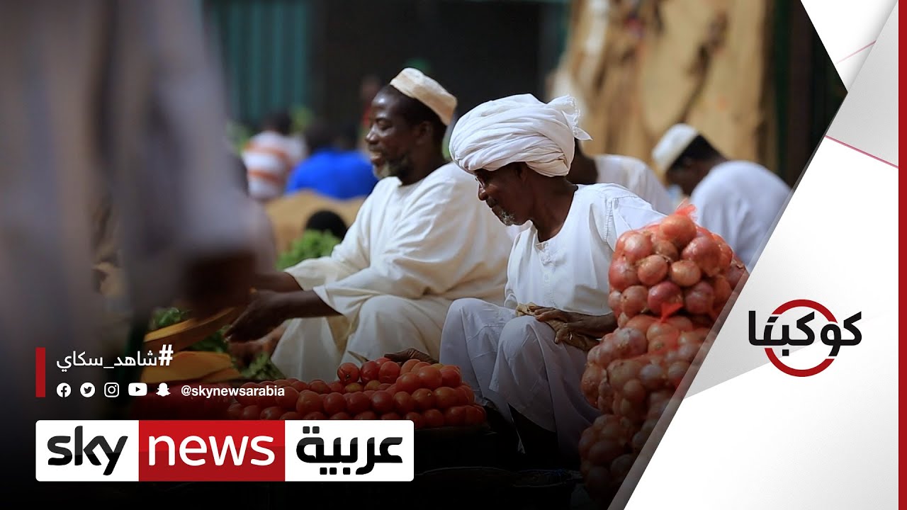 تعرف على الزراعة المائية وكيف يمكنك استغلال مساحات منزلك مع الزرّيع السوداني | #كوكبنا