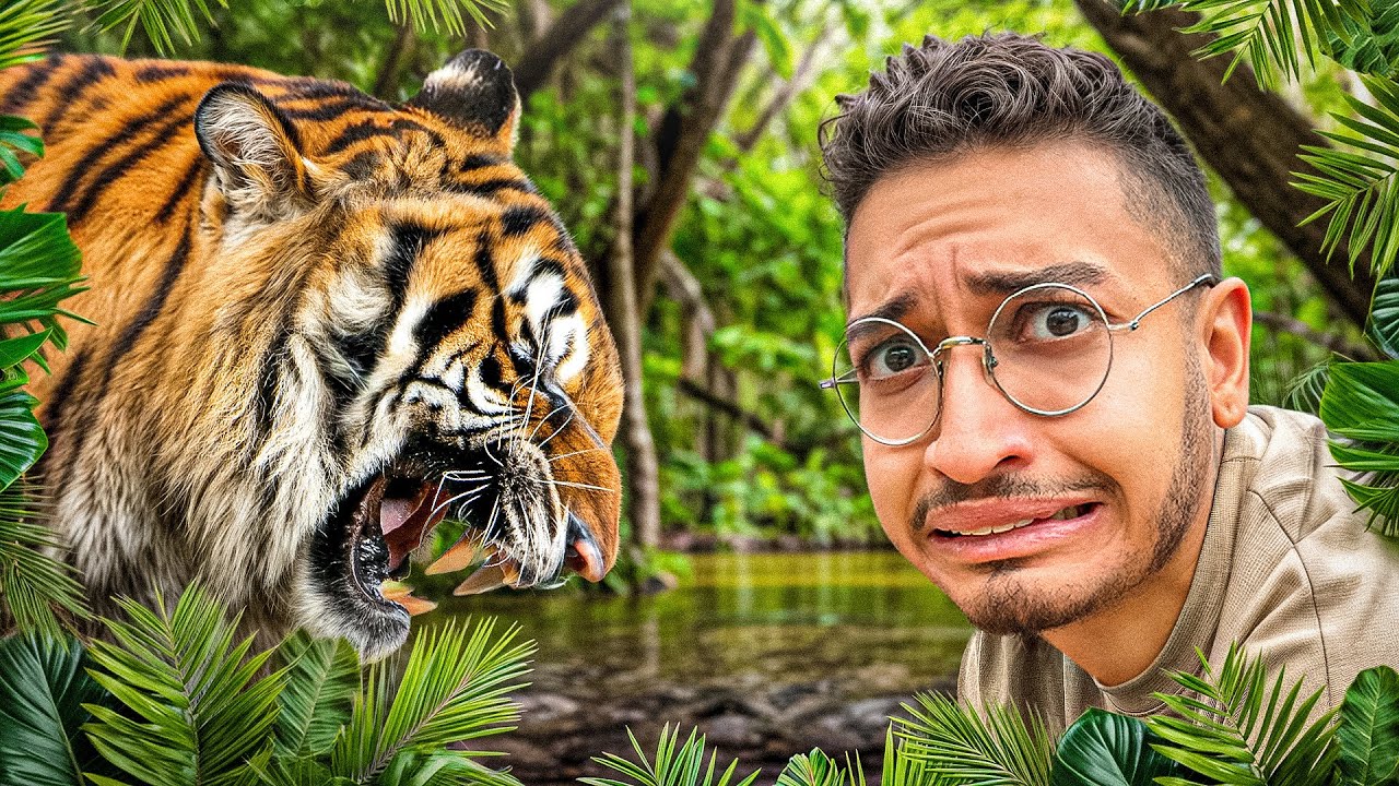 به ببر بنگال دست زدیم😂🐅(الیمالات)