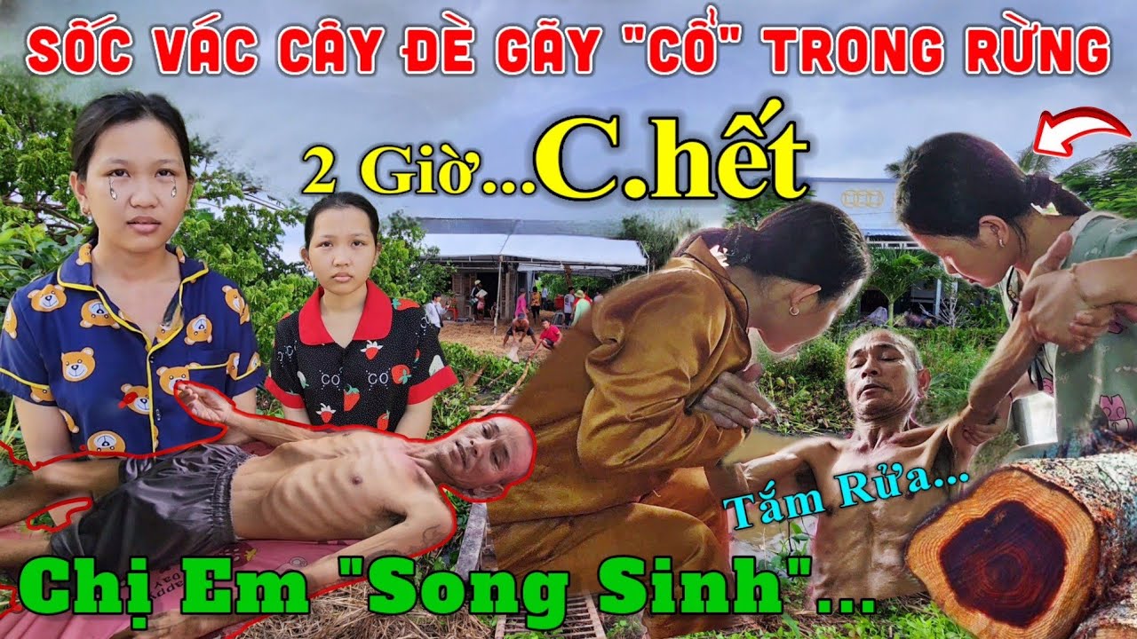 Sốc Người Đàn Ông 50.T Vác Cây Gặp Nạn Trong Rừng, Chị Em 