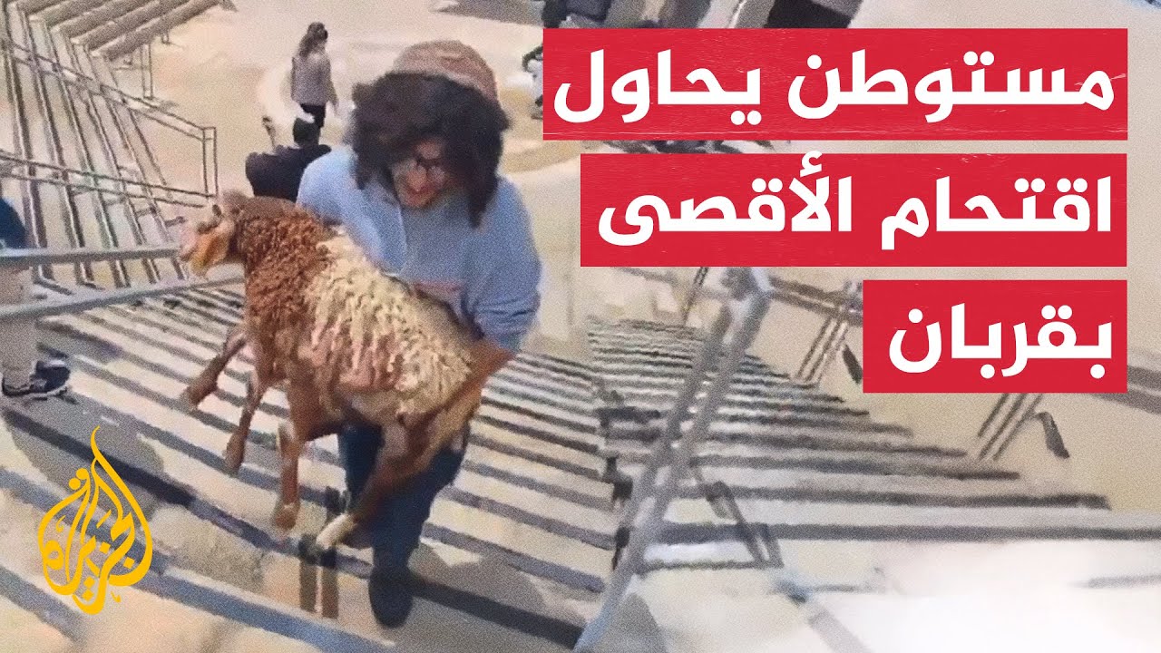 مستوطن يحاول اقتحام الأقصى حاملًا قربانًا في ثاني أيام الفصح العبري