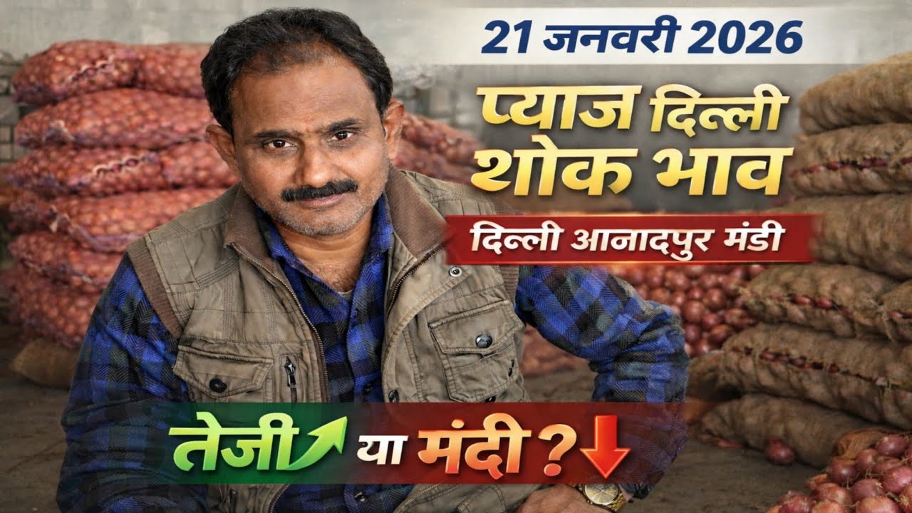 प्याज तेजी या मंदी | Today onion price | pyaj ka bhav #onionprice #pyaj #onion #mandirates