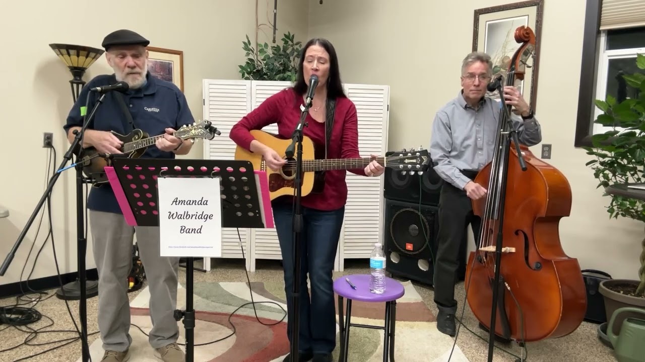 Woulda Been Nice by Amanda Walbridge  (original song)