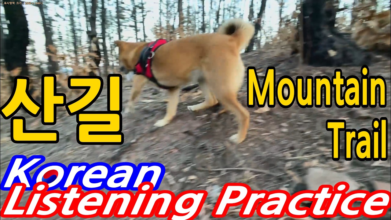 133.[A1] 산길 Mountain trail Korean Listening Practice TOPIK