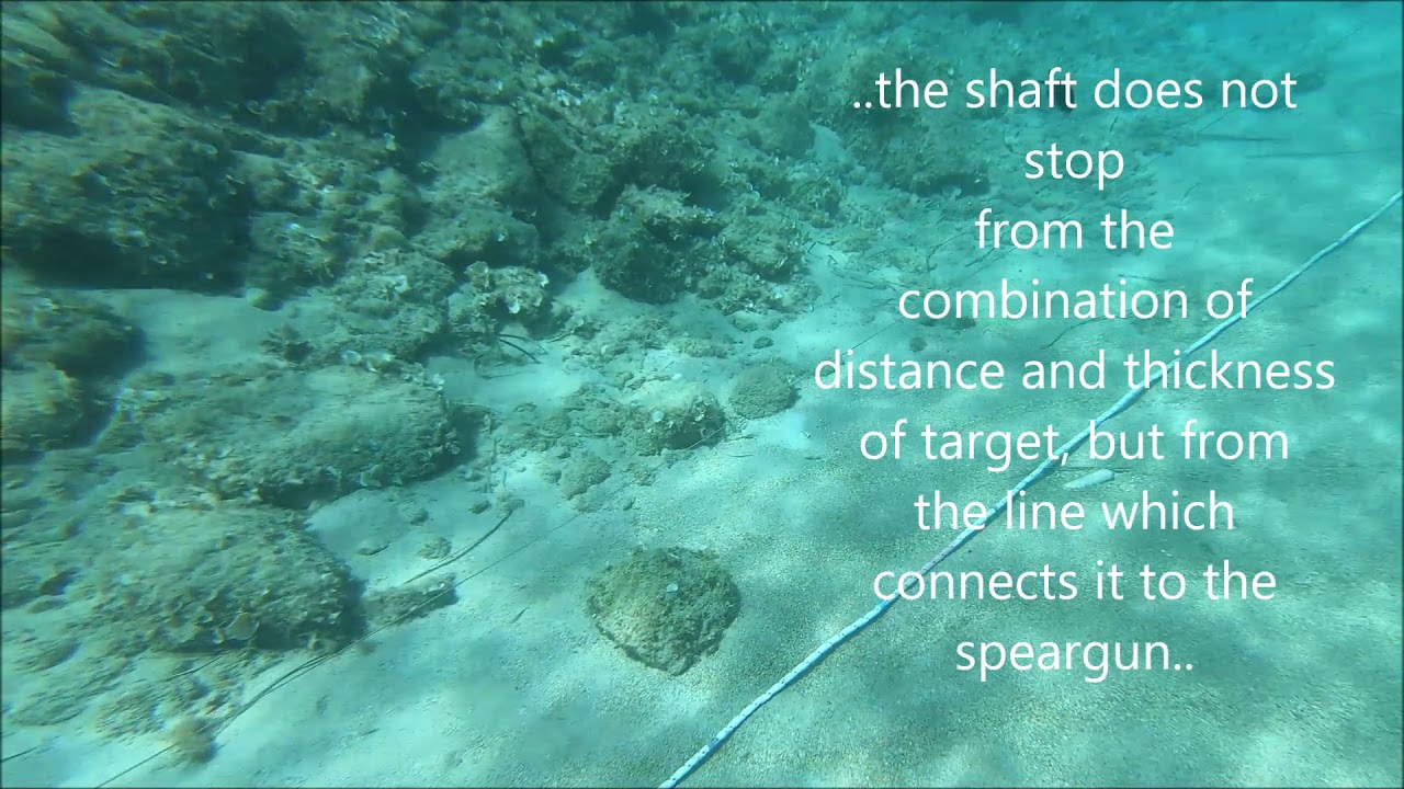 lycan polyspast extremo