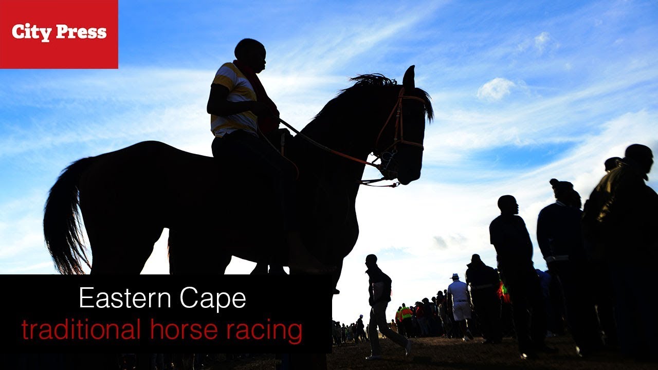 Economic potential of traditional horse racing