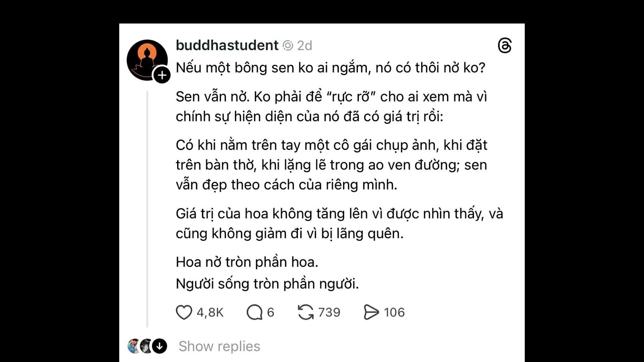 Lỡ cuộc đời không rực rỡ thì sao ??