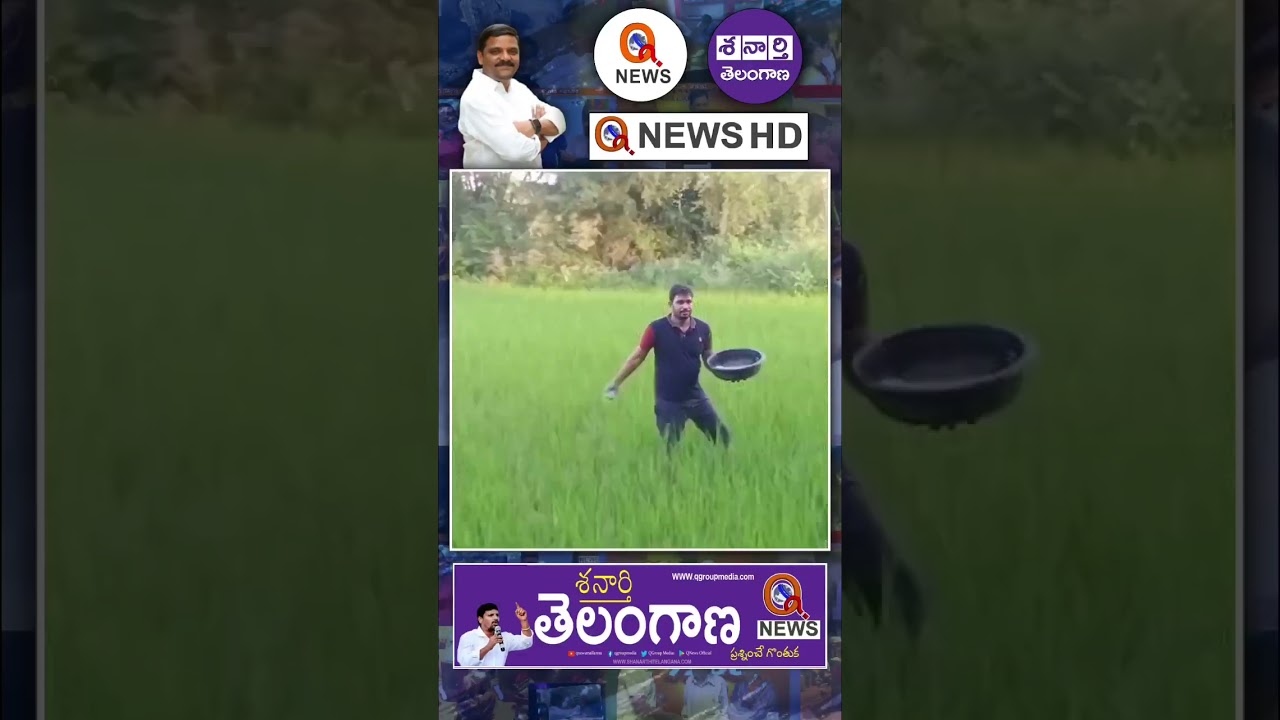 పొలం పనుల్లో సుదర్శన్ #sudharshan #farming #mallanna #qnews #tnp #shorts