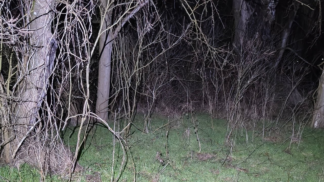 Vasi SURVIVAL  este live!... lângă Mureș partea a doua