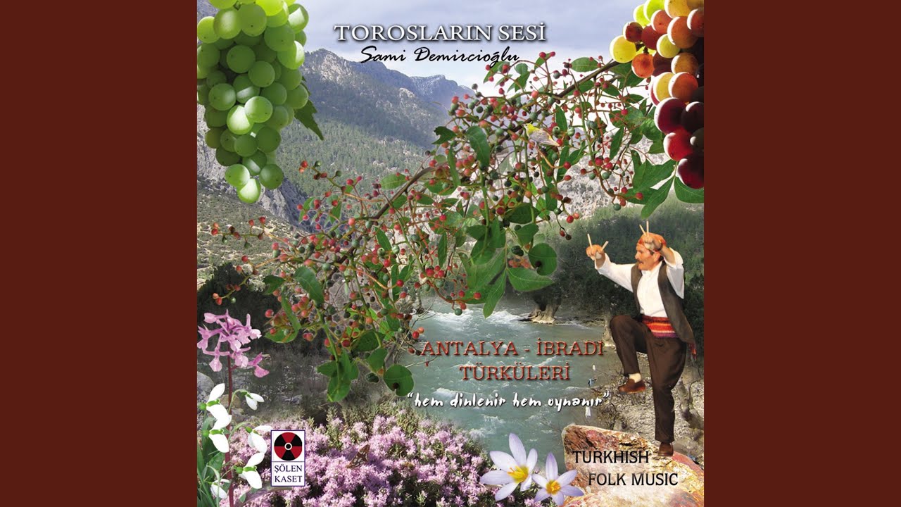Cezayerin Evleri