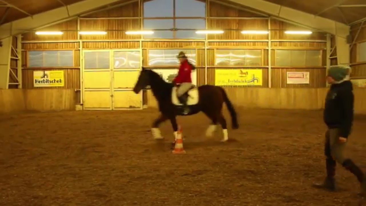 Reitclub Joglland TV Folge 2 Bahnfiguren richtig reiten und kombinieren