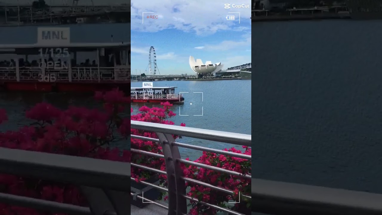 🌸🌸 Solo Travel 🌸🌸 