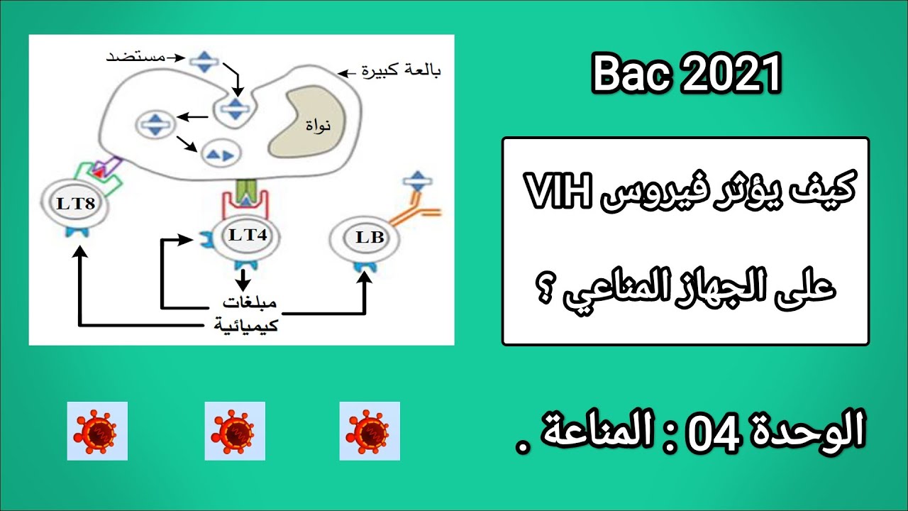 - [ التمرين 8 في المناعة ] كيف يقضي VIH على مناعة الإنسان 🏴‍☠️ ؟ .