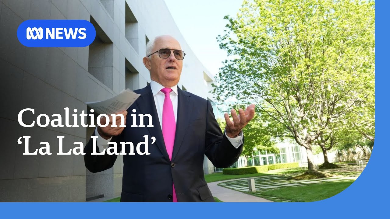 Coalition seeking approval from Sky News has drawn them into 'La La Land': Turnbull | ABC NEWS