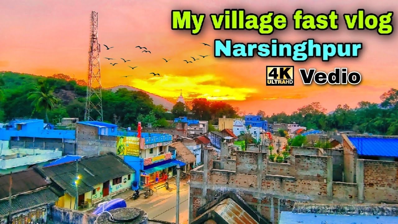 MY VILLAGE FAST VLOG 😜||NARSINGHPUR...