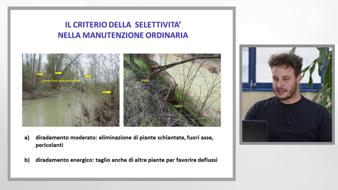 Importanza e gestione della vegetazione riparia