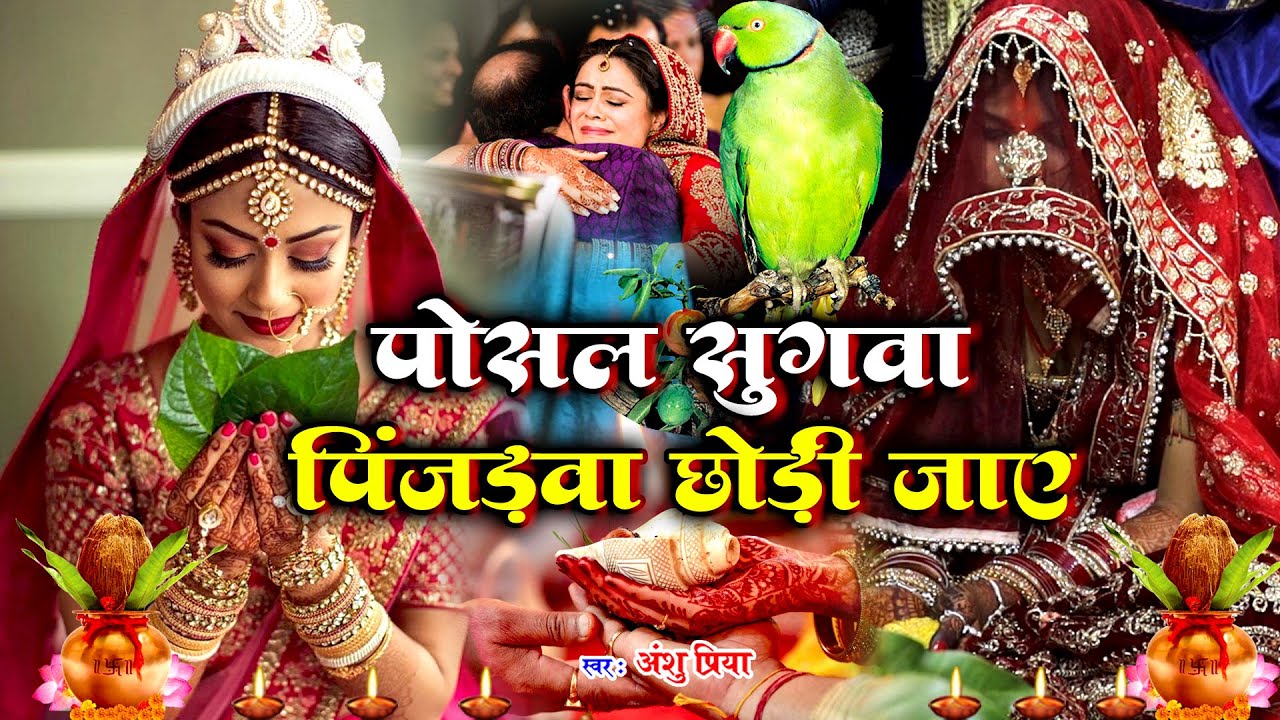 बेटी विवाह गीत #VIDEO || पापा के पोसल सुगवा पिंजरवा छोड़ी जाए || Anshu Priya Paramparik Vivah Geet