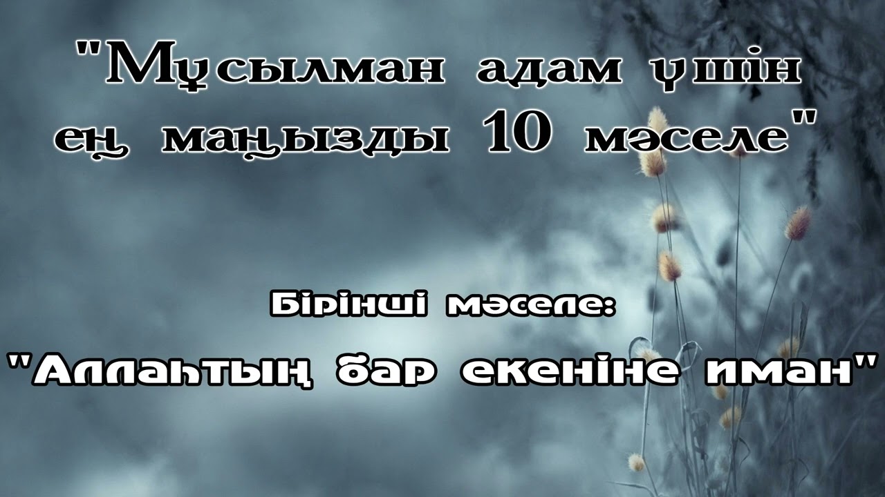 Бірінші мәселе: 