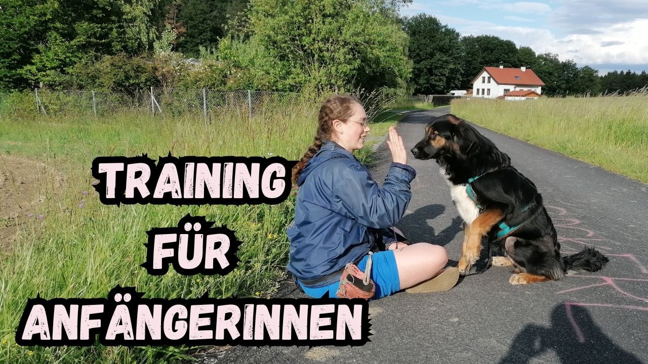Tierschutzhund Training - Guide für HundeanfängerInnen