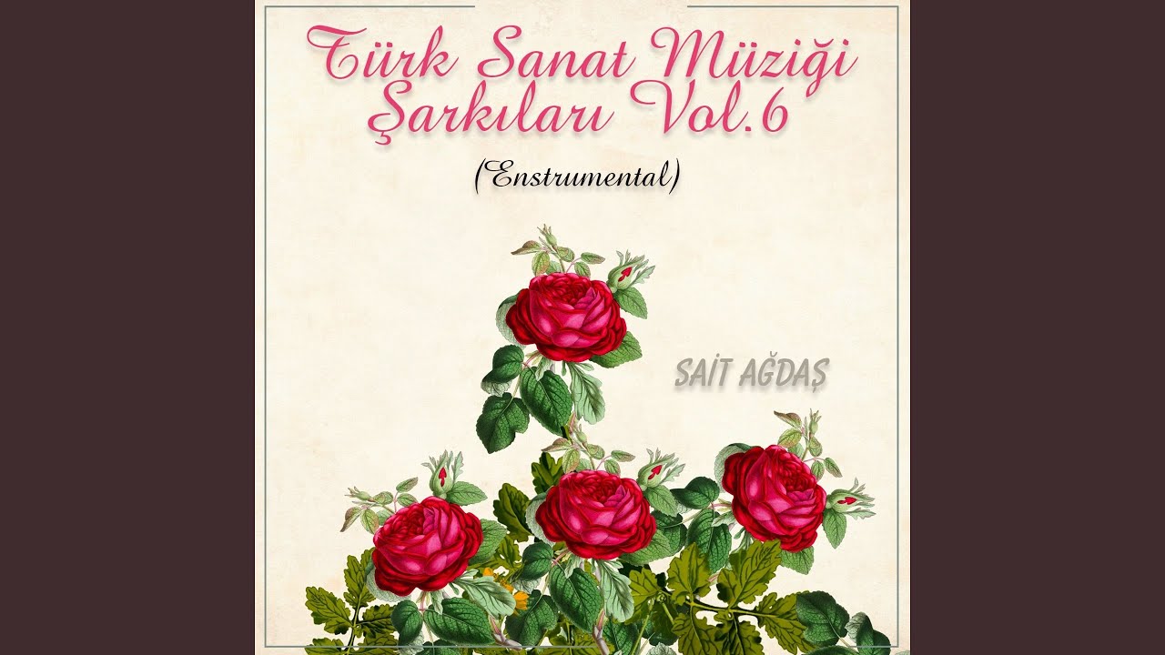Adana'nın Yolları Taştan