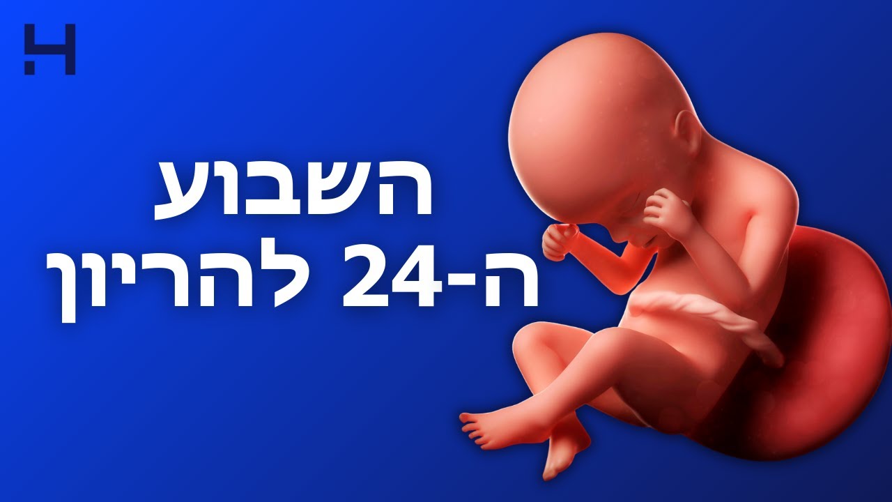 שבוע 24 להריון | 40 צעדים | הדסה טי וי