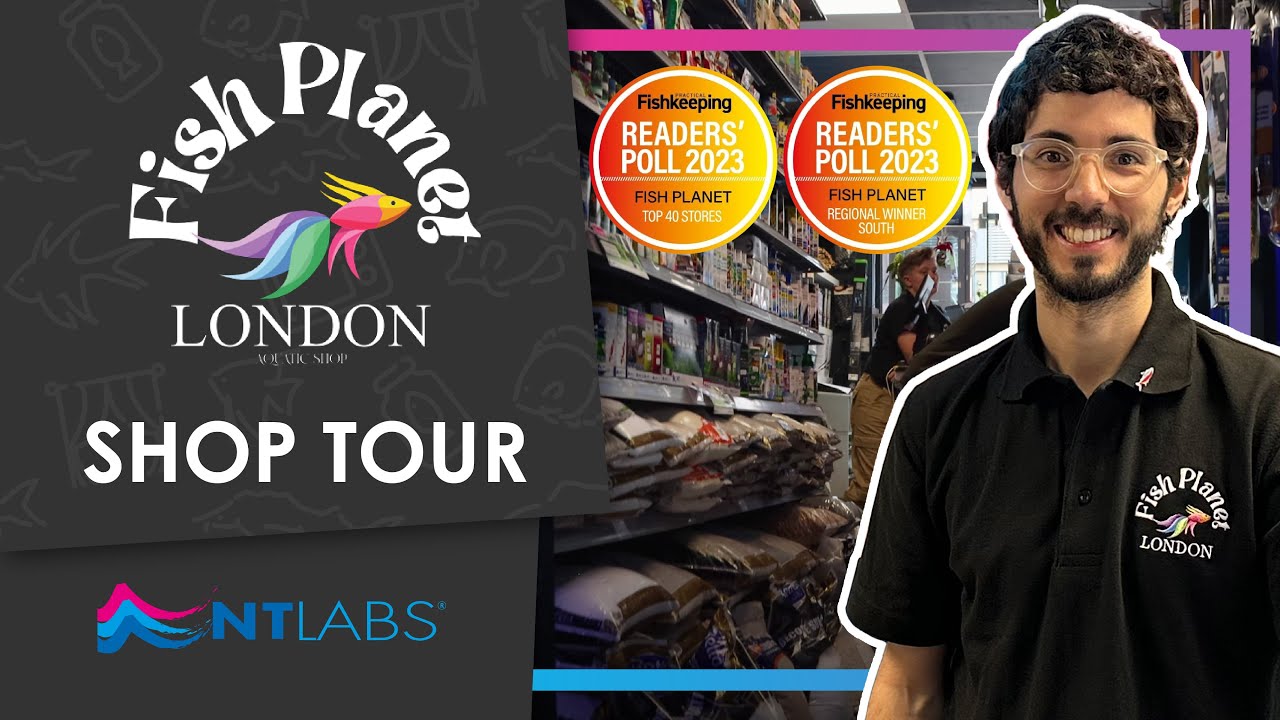 Award-Winning Aquatic Store! | Welcome to Fish Planet London
